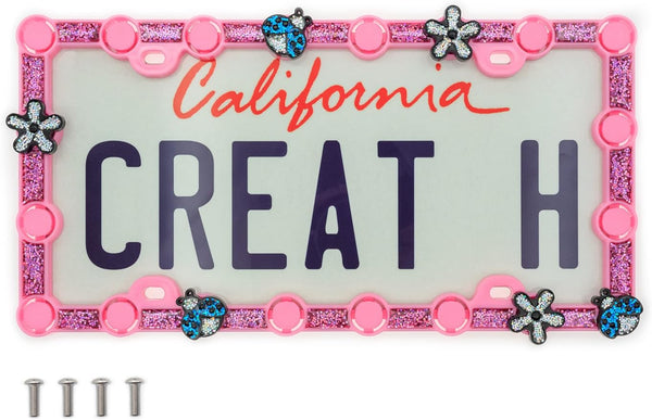 FD&D Custom License Plate Frame,Starter Kit with Silver Daisy and Blue Ladybug